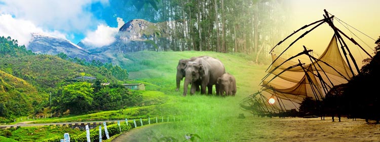 Thekkady Seasonal Tour Packages | call 9899567825 Avail 50% Off